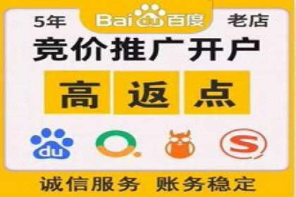 网络推广竞价策略案例分析